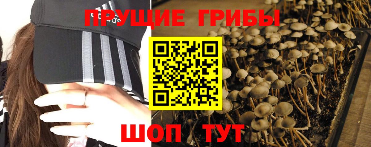 Лесной  Галлюциногенные грибы MAGIC MUSHROOMS  Псилоцибиновые грибы мицелий  Вход с VPN 