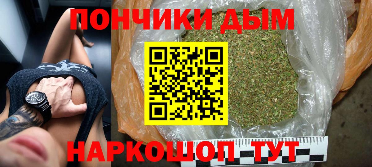 Конопля планчик Лесной