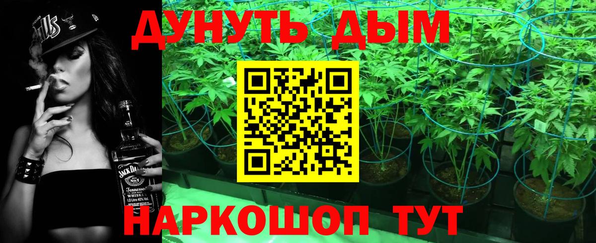 МАРИХУАНА ГИДРОПОН  Конопля AK-47  Лесной  Вход с VPN 